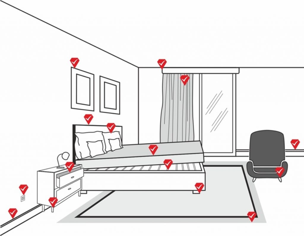 Κοριοί – Συχνές ερωτήσεις – απαντήσεις